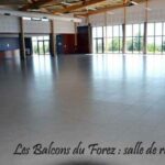 3-sdf-defil