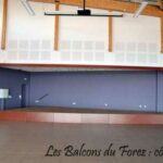 5-sdf-defil